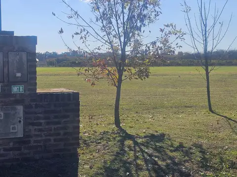 Lote 107 bis. Barrio La Elina, Comarcas de Luján.