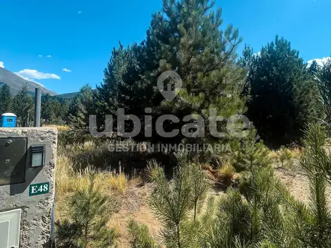 Terreno en Venta de 1115,0 m2
