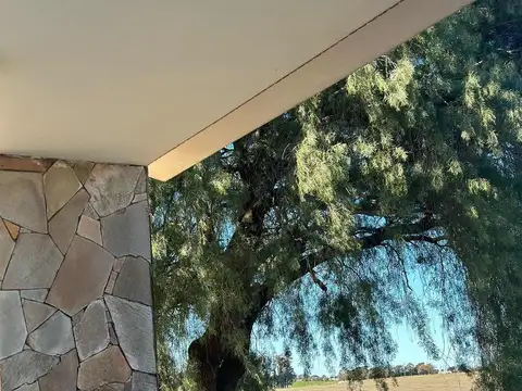 Campo en venta - 9 Hectáreas - Colonia