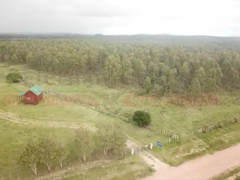 EXCELENTE CAMPO 13 HAS CON CABAÑAS EN MALDONADO, URUGUAY