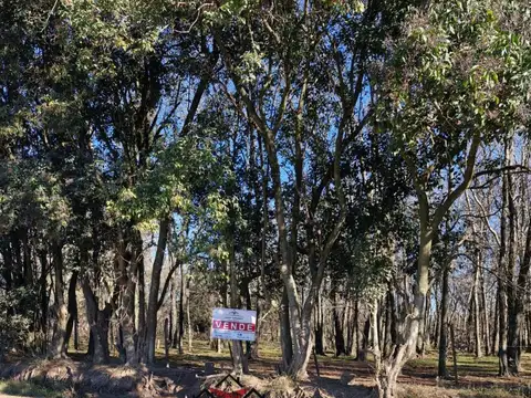 Chacra de 23670 m2, ideal subdivición, excelente lugar.!!