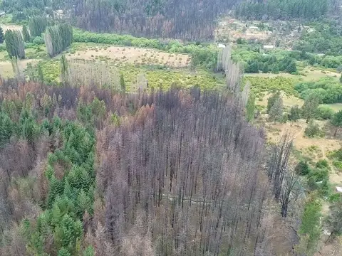 Terreno en Venta de 80000,0 m2