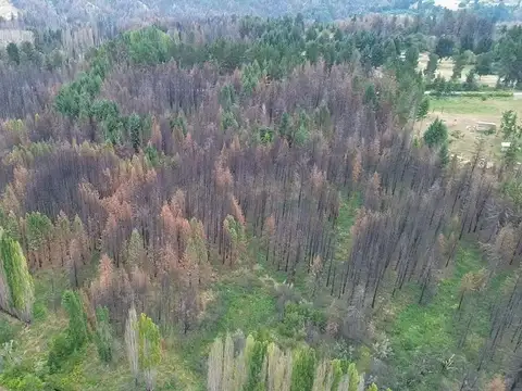 Chacra 8 ha Mallin Ahogado - Ubicación Estratégica