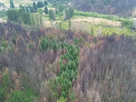 Chacra 8 ha Mallin Ahogado - Ubicación Estratégica
