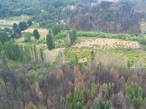 Terreno en Venta de 80000,0 m2