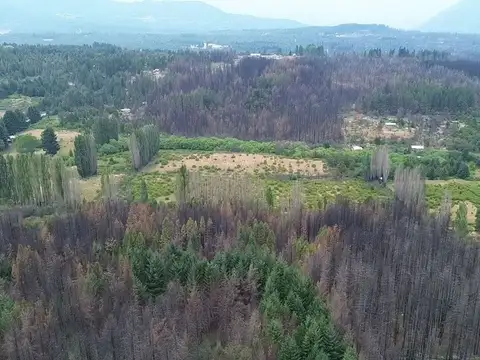 Terreno en Venta en El Bolson, USD 290.000