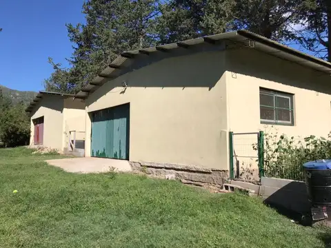 Los Piquilllines 100