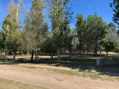 RUTA 18 100