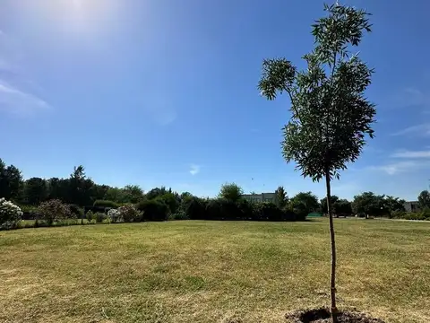 Terreno en Venta en Santo Domingo, USD 28.000