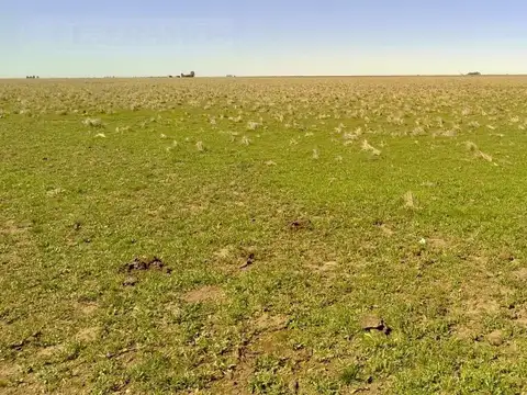 San Germán, Puán, Bs. As.