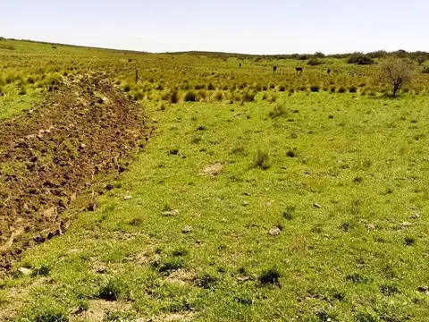 San Germán, Puán, Bs. As.