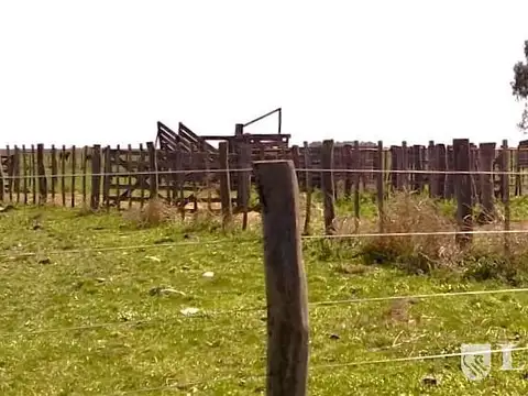 San Germán, Puán, Bs. As.