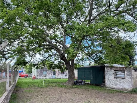 VENTA CASA CON AMPLIO TERRENO EN FELICIA