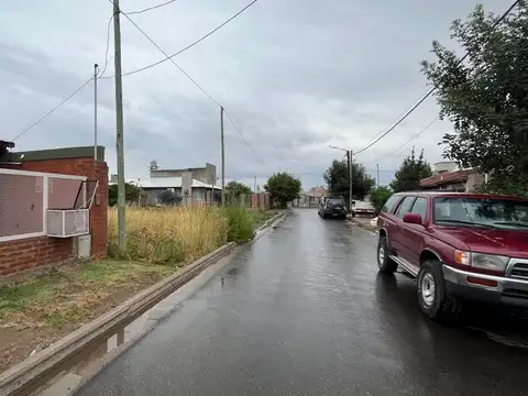 las Rosas 700