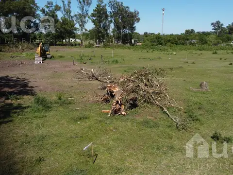 Terreno en Venta de 831,0 m2