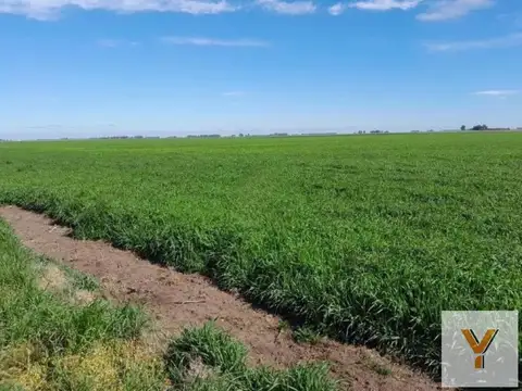 Campo en venta - 33.800.000Mts2 - San Cayetano