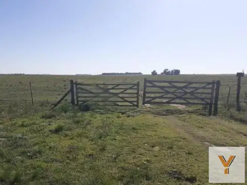 Campo en venta - 33.800.000Mts2 - San Cayetano