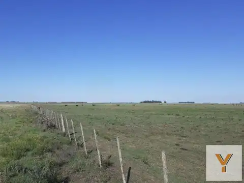 Campo en venta - 33.800.000Mts2 - San Cayetano