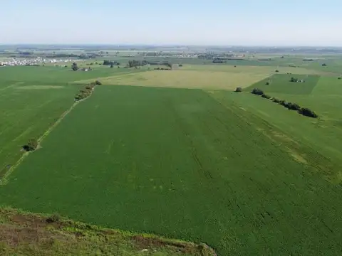Campo en Venta en Alvear, Rosario
