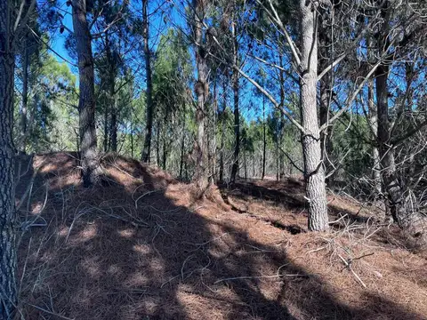 VENTA LOTE NORTHBEACH