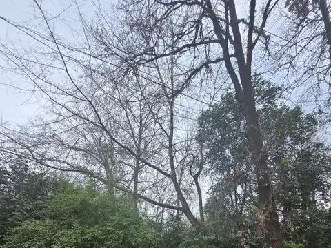 De los Baqueanos 900