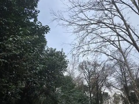 Terreno en Venta de 1615,0 m2