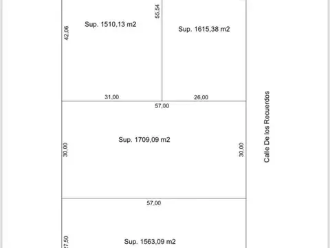De los Baqueanos 900