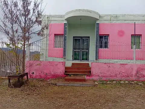 las margaritas 100