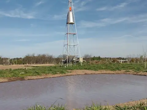 Benquerencia Barrio De Chacras