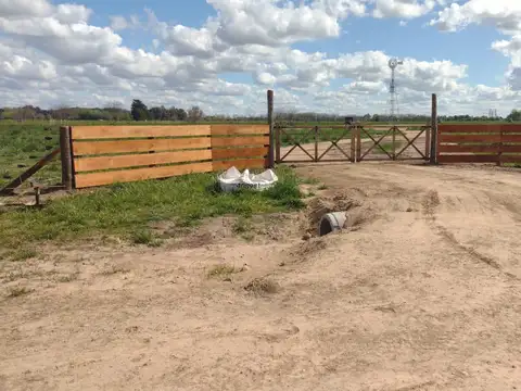 Benquerencia Barrio De Chacras