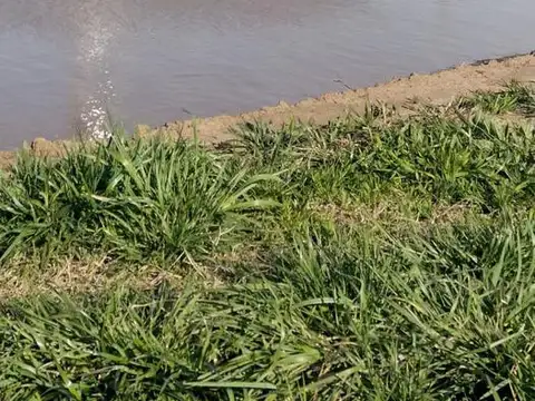 Terreno en Venta de 42415,0 m2