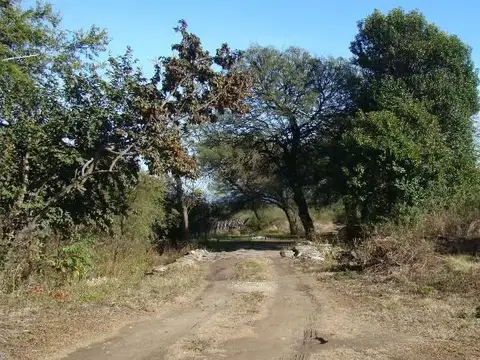 Terreno en Venta de 10000,0 m2