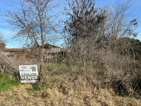 LOTE 645 M2. - SERVICIO LUZ ELECTRICA - SALVADOR MARIA - LOBOS -