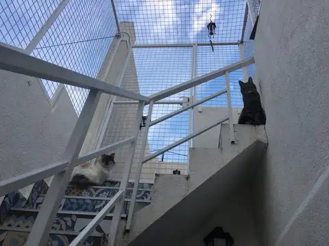 Venta PH  Villa Maipu 2 amb y medio con terraza propia  Apto credito Ricardo  Guiraldes 1300 Piso 0