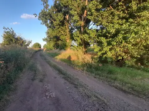 CAMPO 9 HA. EN RAMALLO