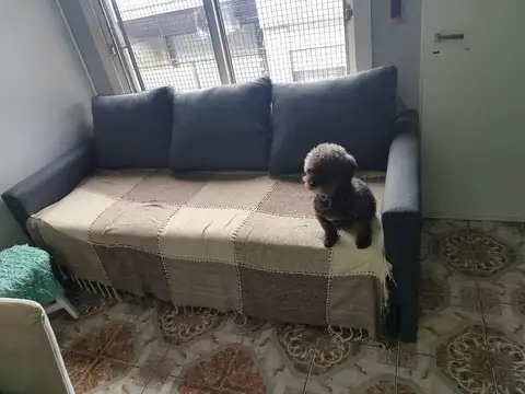 Depto Tipo Casa en Venta 16 años