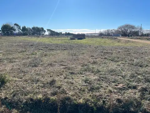 Los Pinos