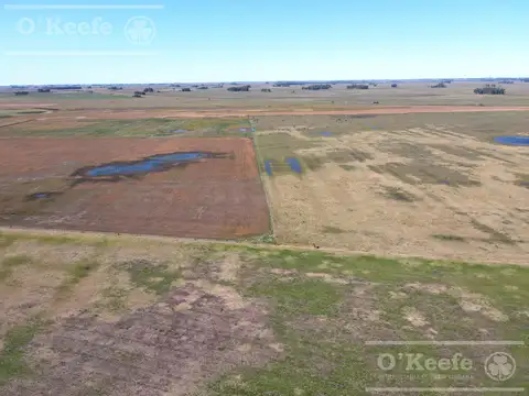 Campo en venta de 77 has en  Saladillo - Agricola ganadero