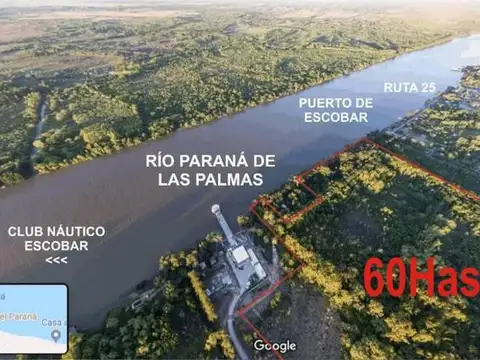 Ruta 25