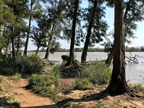 60 Hectáreas - Puerto de Escobar - Sobre Parana de las Palmas