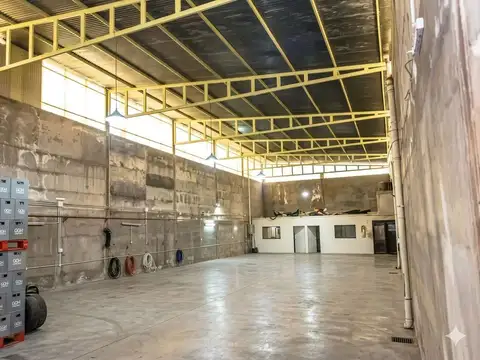 Macrocentro. 100