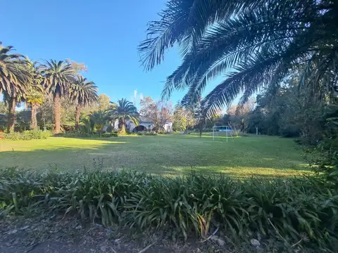 ideal desarrolladores