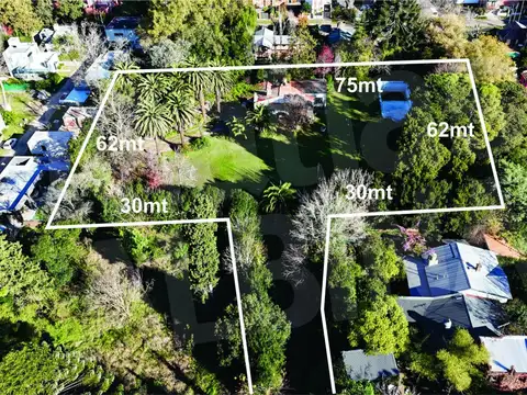 ideal desarrolladores