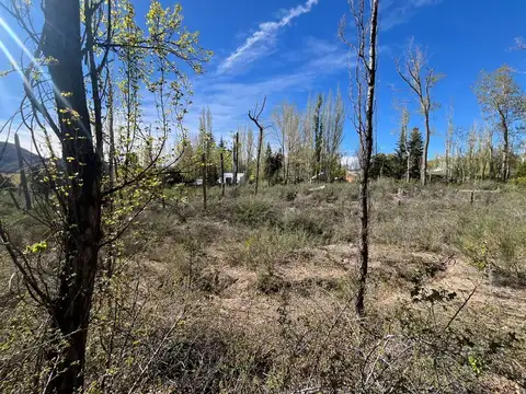 Las Garzas