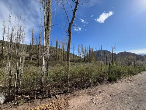 Terreno en Venta de 1500,0 m2