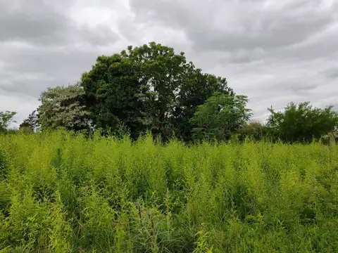 Oportunidad única: terreno de 5,075 m² a excelente