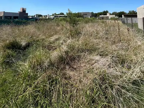 Terreno en Venta 33  mts Fondo