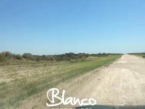 CAMPO GANADERO - LA PAMPA -