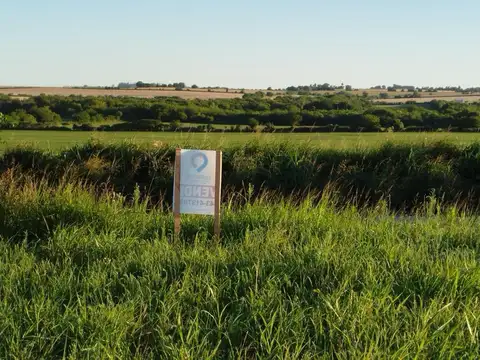 Terreno en Venta de 338,0 m2