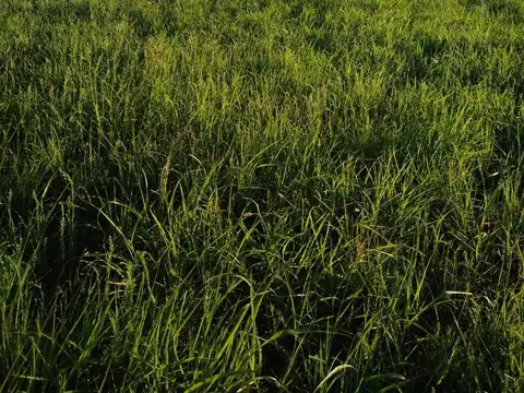 Terreno En Venta!! Loteo Santa Ana - Oro Verde